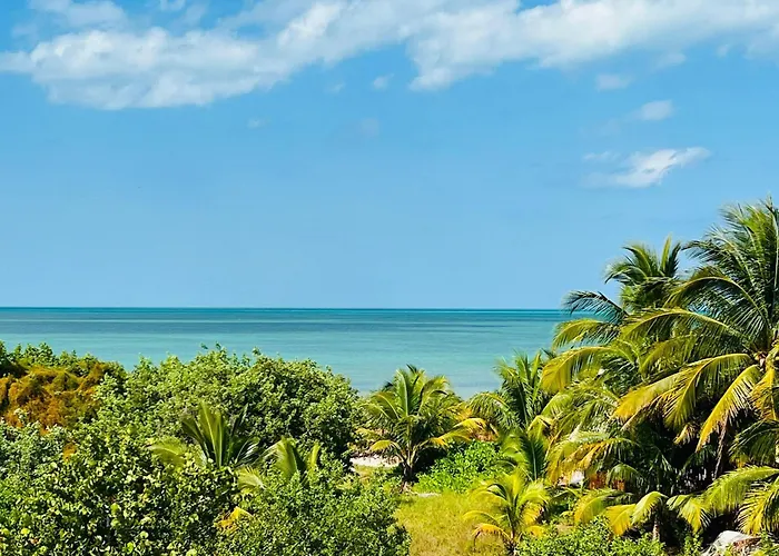 Atenea Holbox